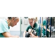 Soins vétérinaires